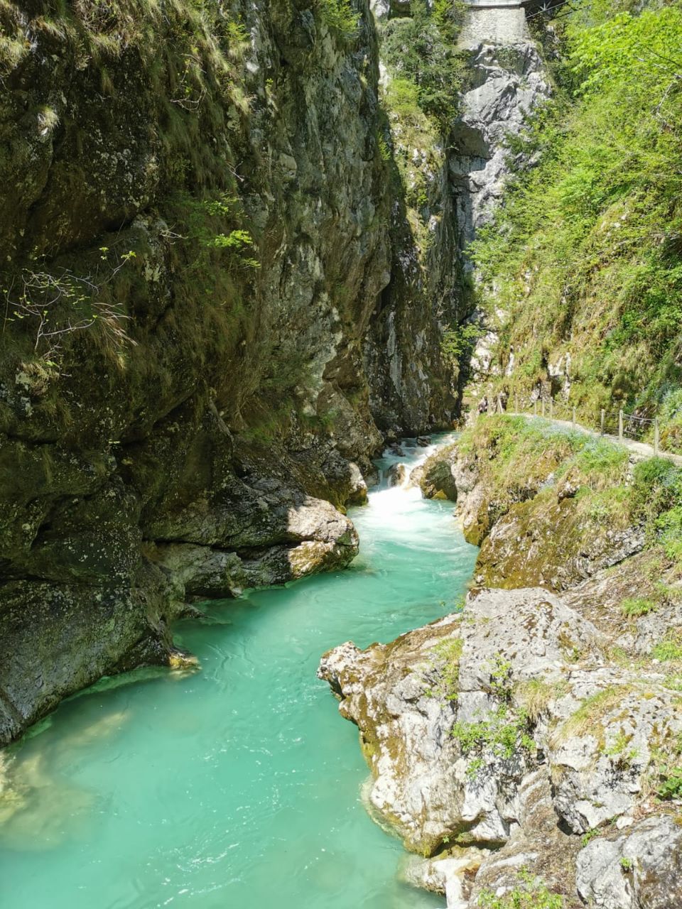 Smaragdgroene rivieren en de stilte van de Alpen